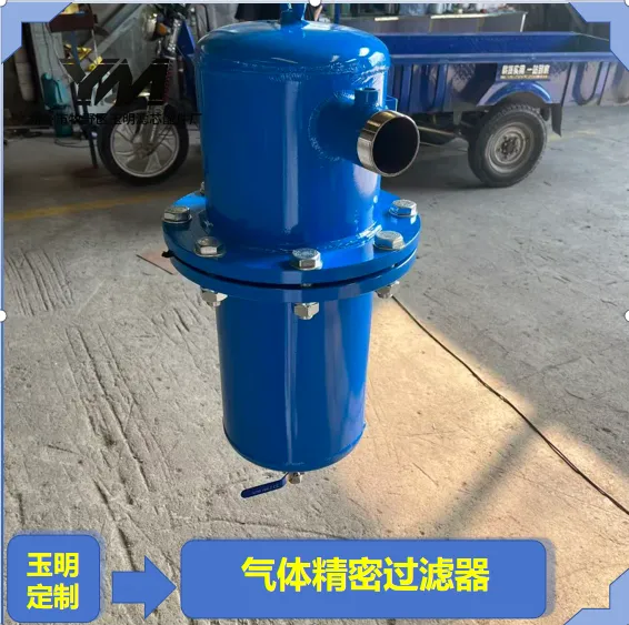 气体精密过滤器食品制药洁净气体精密过滤器
