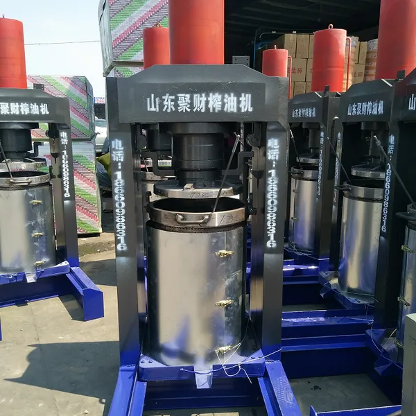 液压新式花生榨油机多钱 青海电脑数控榨油机 立式压油机出售