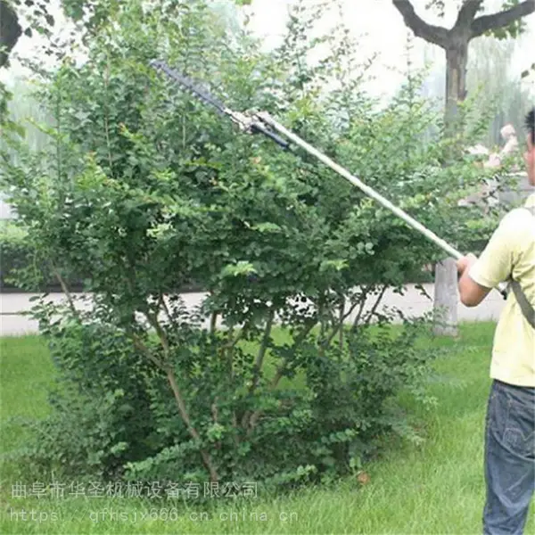 园林景观修剪高枝锯 小树苗树冠美化剪枝机 华圣