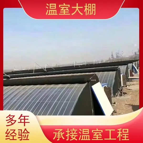 乐山马边 草莓炼苗大棚 修缮蔬菜温室 透光通风 中科 智能灌溉 ZKMB-01