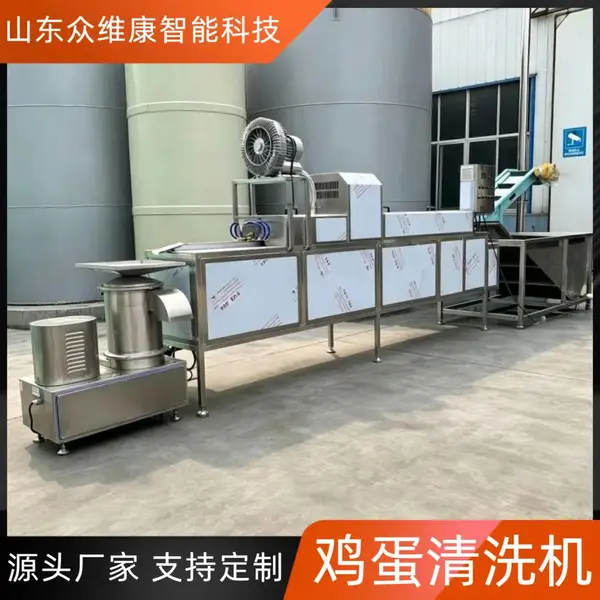 全自动鸡蛋清洗风干流水线 保洁蛋裹泥蛋洗蛋机 单排鸡蛋清洗机