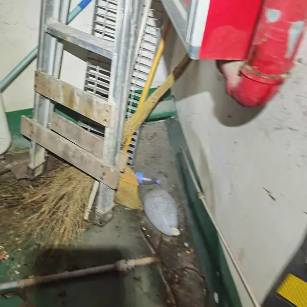 重庆抓老鼠 重庆灭虱子公司 预约上门 快速处置