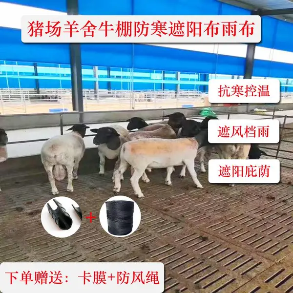 畜牧养殖场卷帘布 牛场猪场升降布 透光加厚防雨布防风帘