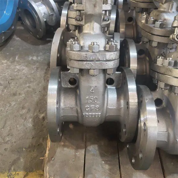 轻体防护明杆闸阀（球铁）喷塑Z41T-10/16Q-DN65 排水排污闸阀