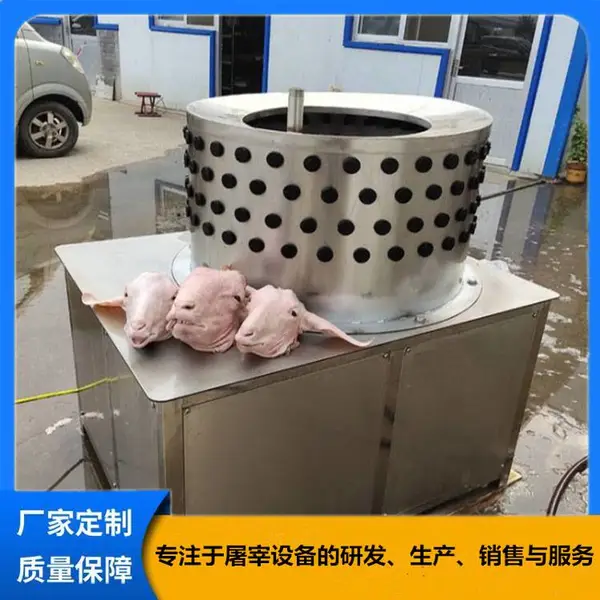牛头牛蹄打毛机 立式滚筒羊头牛头打毛机 正转反转去毛鲁新启达