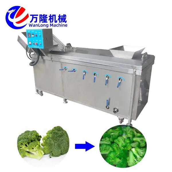 金针菇预煮机 野菜杀青机 芫荽土豆丝漂烫机 万隆机械
