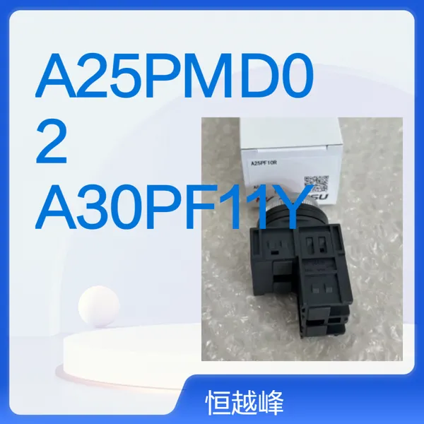日本MARUYASU丸安A25PMD02 A30PF11Y按钮开关