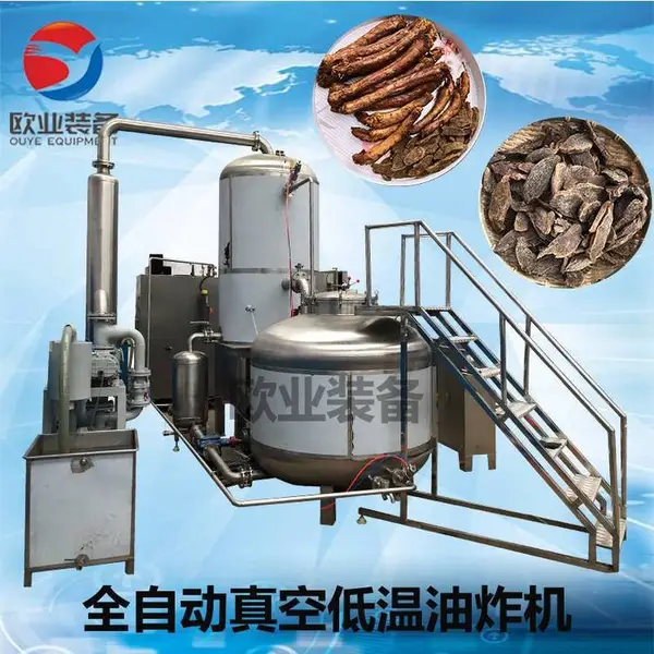 设备厂家 果蔬加工机器 脆枣真空脱油设备 终生 低温脱水一体机
