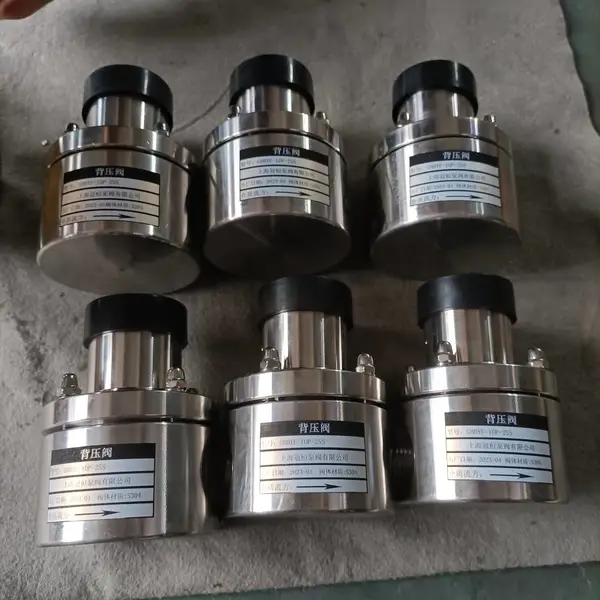 �人��������RXBYF-10RL-50S DN50����ֱ�ѹ��316L˿��