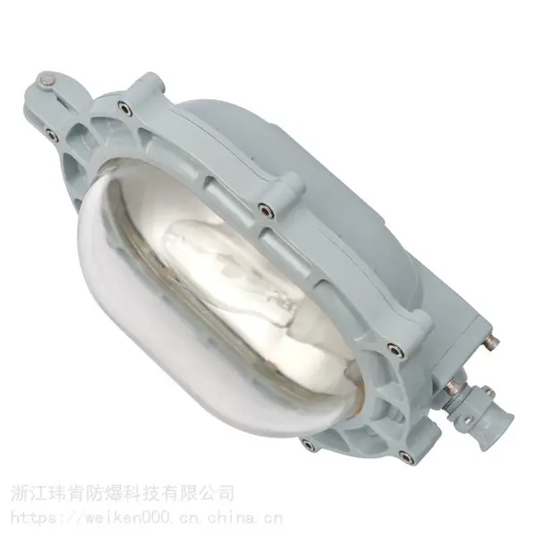 浙江玮肯BFC8120 LED内场防爆强光泛光灯