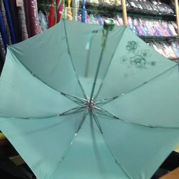 西安天堂牌雨伞, 自动半自动晴雨伞/碰击布上印字