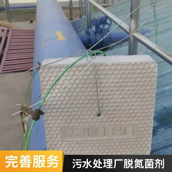 微生物菌方 好氧反硝化脱氮菌块 反硝化细菌菌砖 河道修复