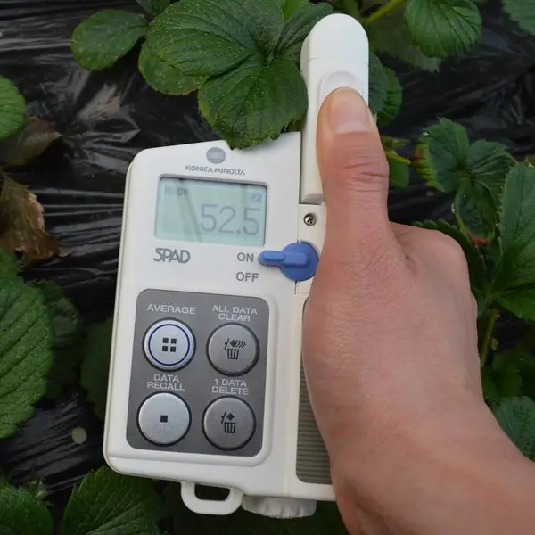 SPAD502Plus叶绿素仪 柯尼卡美能达 叶绿素测定仪使用方法