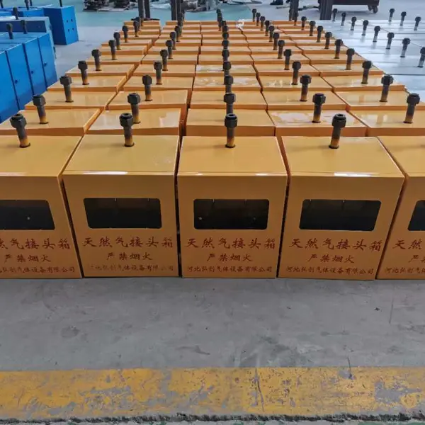 集中供气设备 气体终端箱分气包 汽化器调压阀管路
