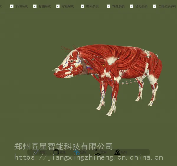 动物解剖数字化虚拟仿真系统