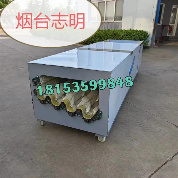 山东烟台志明牌多功能甜瓜萝卜清洗喷淋机器