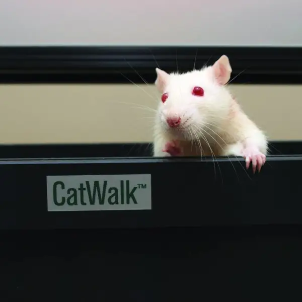 ���ﲽ̬����ϵͳ(CatWalk XT)