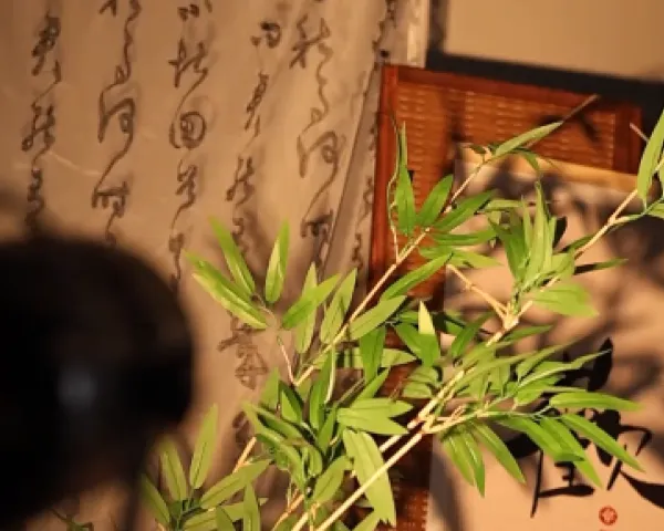 深圳新手推荐直播摄像机优势 深圳市苏西家影像供应
