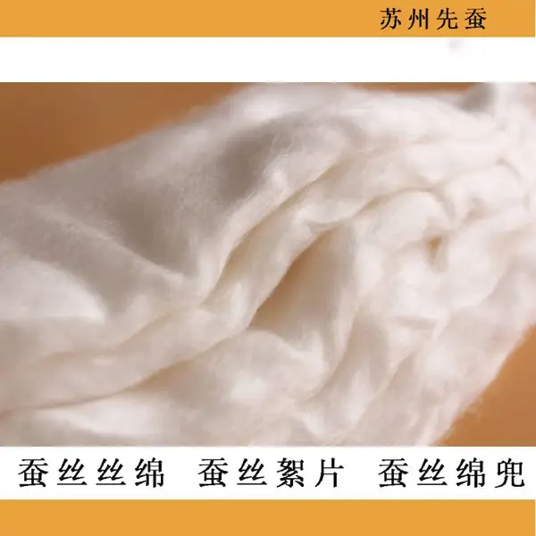 双重蚕丝被蚕丝丝绵保暖被芯蚕丝胎套