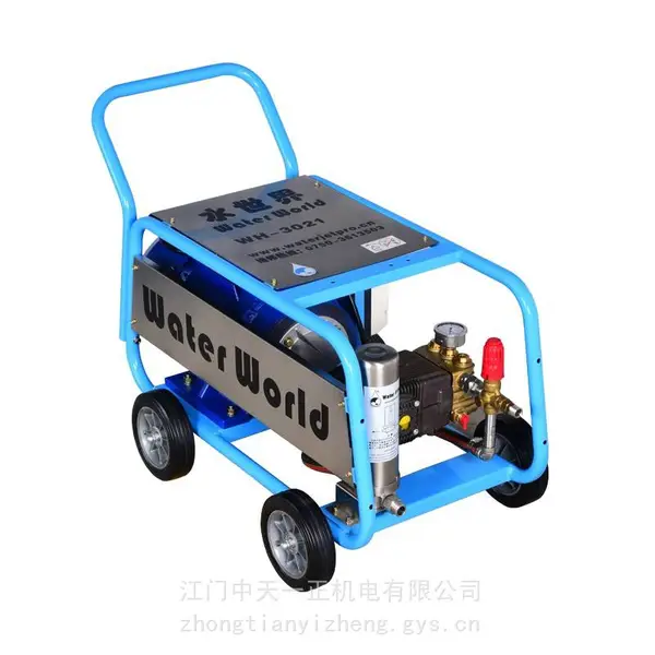 ��Ӧˮ���� 300����ѹ�� ��ѹ��ϴ�� WH-3021 ��ɰ����