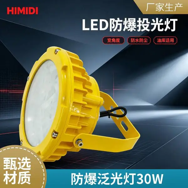 马路式防爆灯 LED 防爆照明灯吊杆式防爆灯户外防爆泛光灯