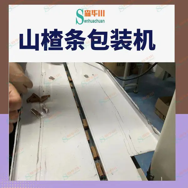 佛山森华川生产制造山楂球山楂卷零食包装设备厂家