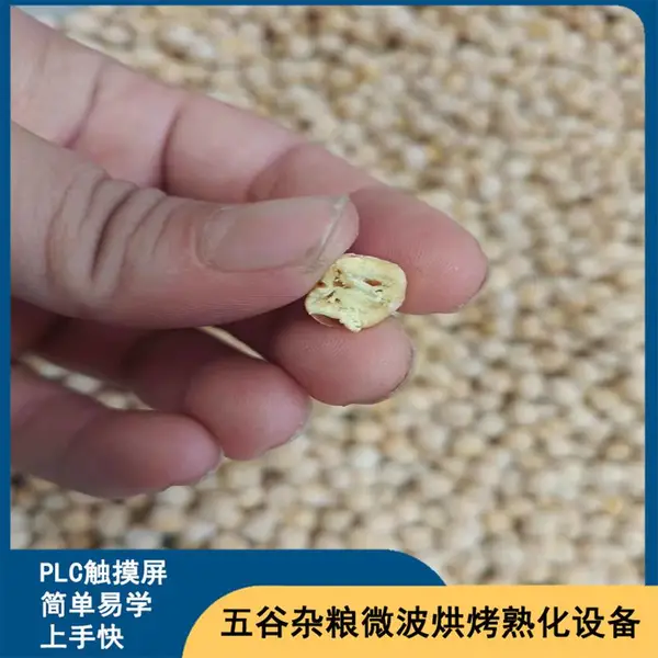 隧道式五谷杂粮微波烘烤机 鹰嘴豆微波熟化杀菌设备