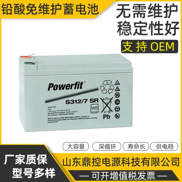 ����GNB����S312/24Ǧ����ά��Powerfit�����ܱ�ʽ12V24AH����UPS����ϵ�Դ������װ����ά��Ѳ��