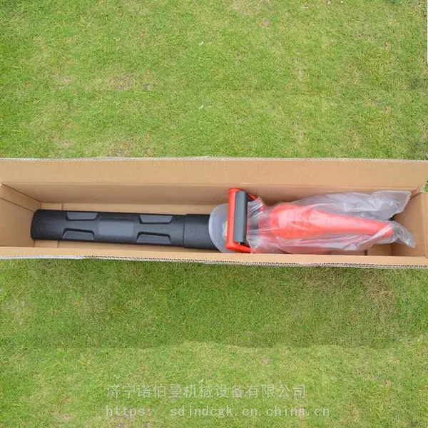���ʽС�ͻ��������޼��� ·����ʳ��ʽ԰�ֵ綯����� ԰�չ�����֦��