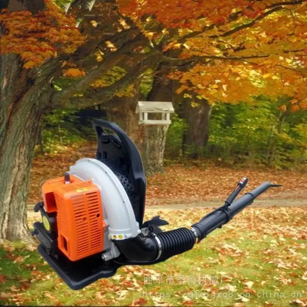 ����·�洵ѩ�� ɭ�ַ����������� ��·��������������