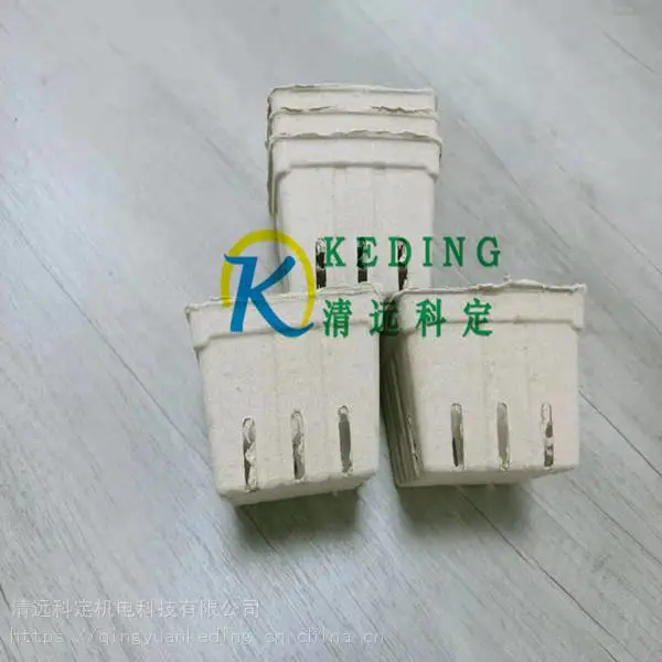 广东工厂供应纸托 纸品包装 水果草莓杯