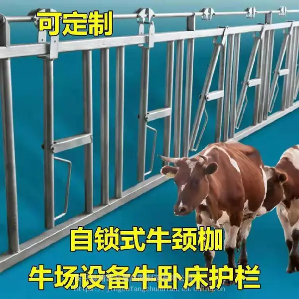 精欧 牛颈夹 单开双开牛场养殖设备牛颈枷 养牛羊马设备定位栏
