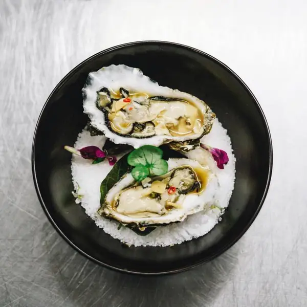 Tuxton德士敦耐用陶瓷餐具-网红系列