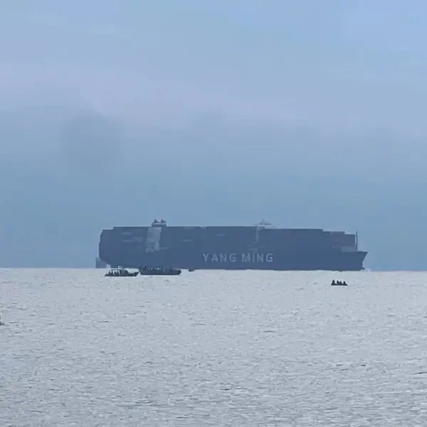 ����������������˹Ҷ��&��·����*TIR���羳���������е����