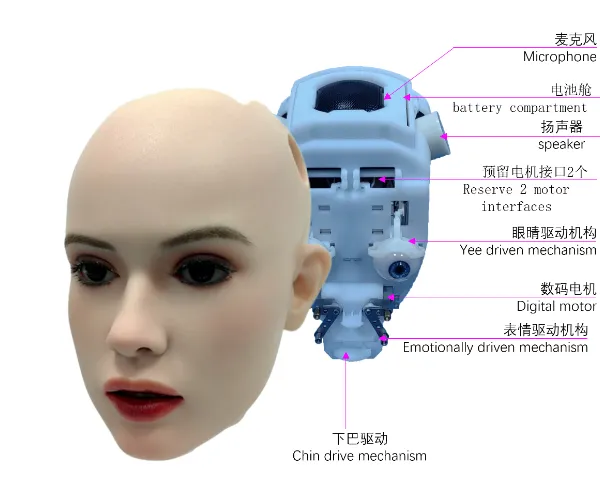 深圳智能对话AI机器人 源头工厂 深圳全智能机器人科技供应