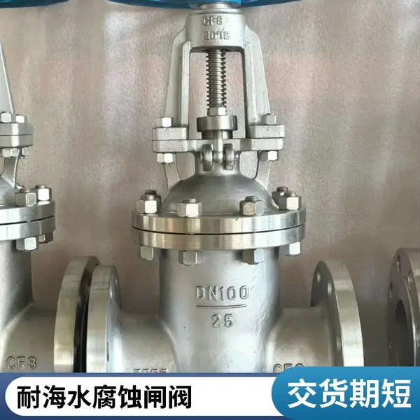造纸厂美标不锈钢闸阀 防堵流道 4寸6寸可选 厂家按需定制闸门阀