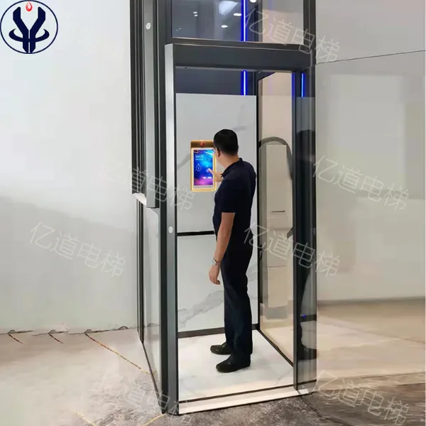 小型别墅曳引观光电梯家庭式自建房升降机家用载人平台