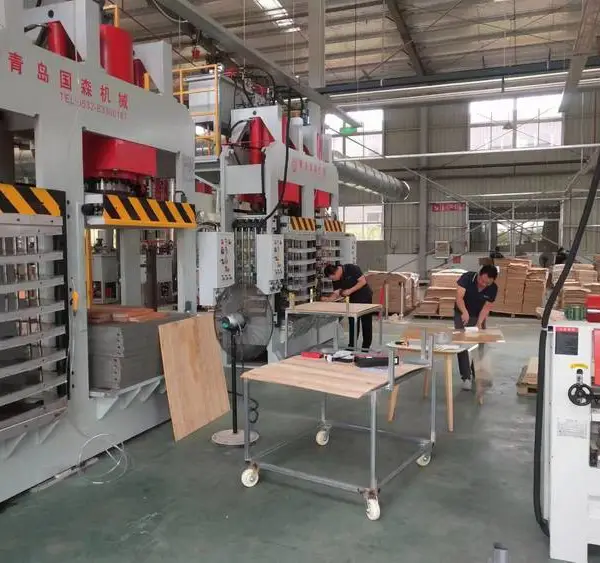 供应国森牌8层一机双工作台弯曲木热压机设备 多模具板材曲面成型机