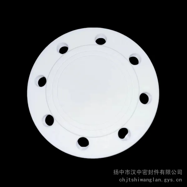 四氟法兰盖 密封堵头 法兰盲板盖 化工厂配套 各种尺寸加工