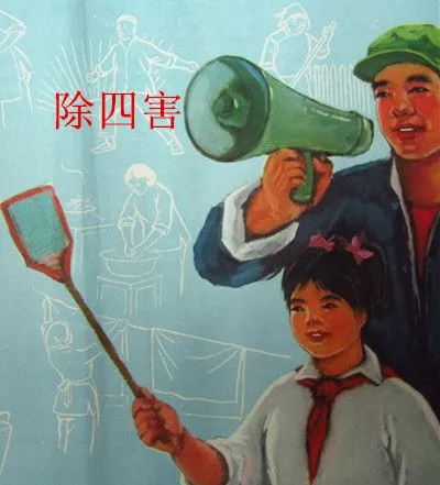 潍坊专业灭鼠公司灭蟑螂除螨虫服务-保洁服务