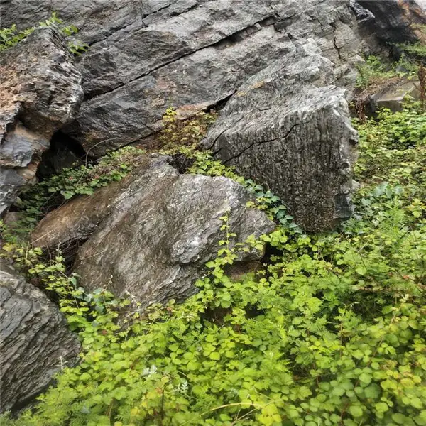 园林景观石 大型天然鹅卵石 嵩山青色景观石 3吨以上风景石销售厂家
