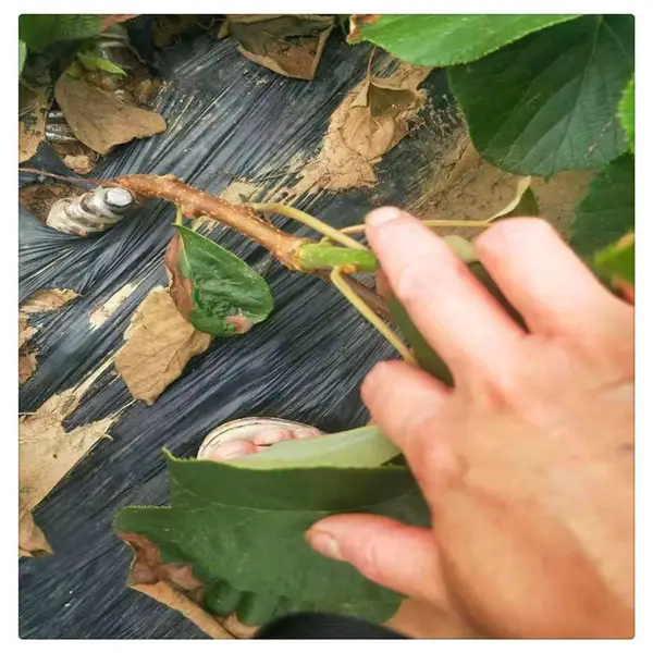 ����⨺����� ⨺�����۸� �ƽ��⨺���������