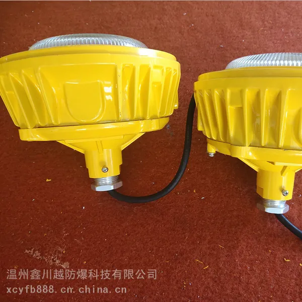 护栏式led防爆灯 化工厂三防平台灯 30W防爆吸顶灯
