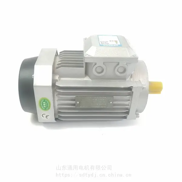 ����3KW��ʽB14 YE3-100L2-4B14�������������첽�綯��