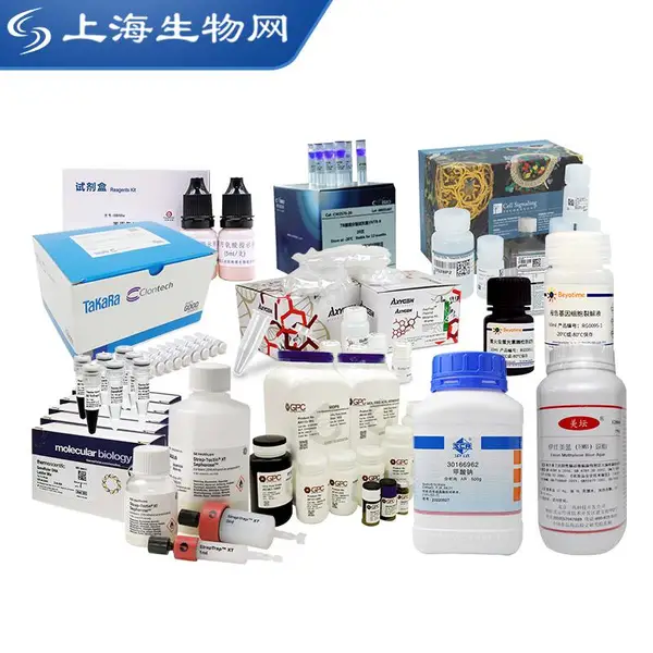 BeyoColor?��ɫԤȾ���׷�������׼200��l�Ϻ�������P0075