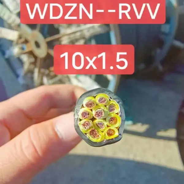 ���ݴ���������RVVSP