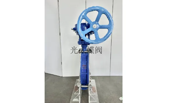 温州不锈钢304蝶阀厂家 值得信赖 浙江光大阀门供应