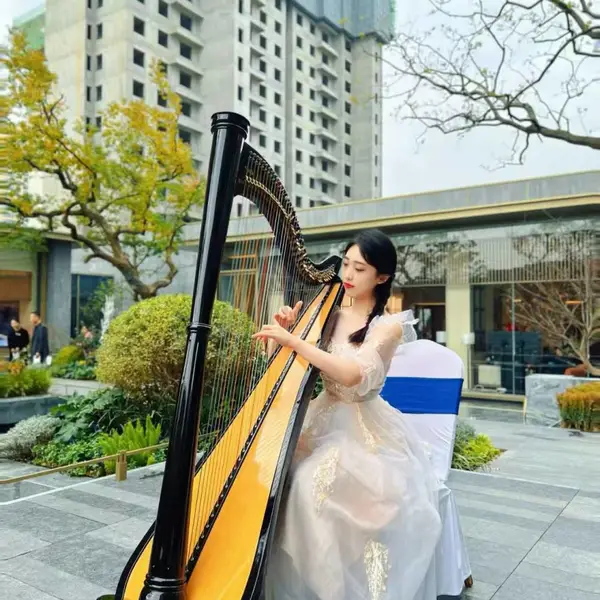 西安承接开业舞狮演出,舞龙舞狮演出,景区酒店初一舞狮,活动舞狮,街区开业舞狮