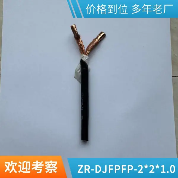 ZRC-DJFP2VP2-22钢带铠装计算机阻燃双层屏蔽仪表电缆/厂家
