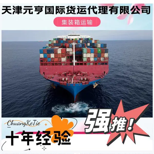 天津港货代公司专业集装箱运输订舱拖车报关一站式服务